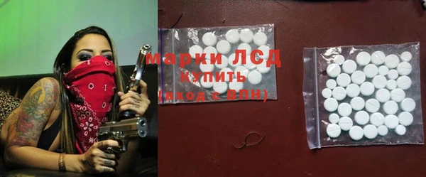 стафф Вяземский