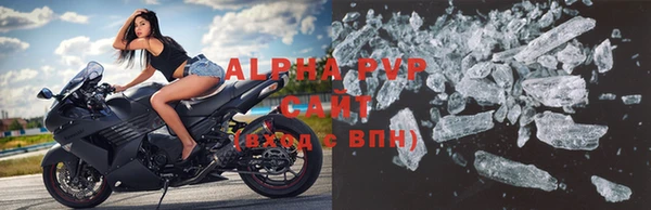 шишки Бородино